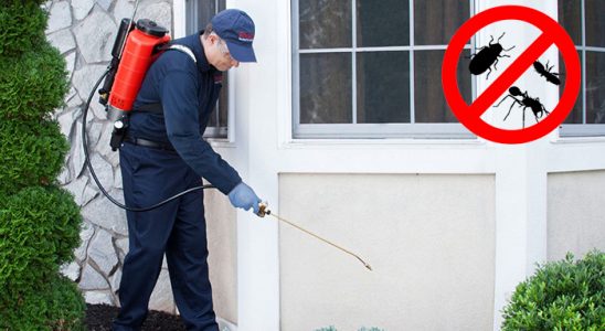 Çiftlikköy Böcek ve Haşere İlaçlama böcek ilaçlama ve haşere kontrolü — ilaclama-tr.com